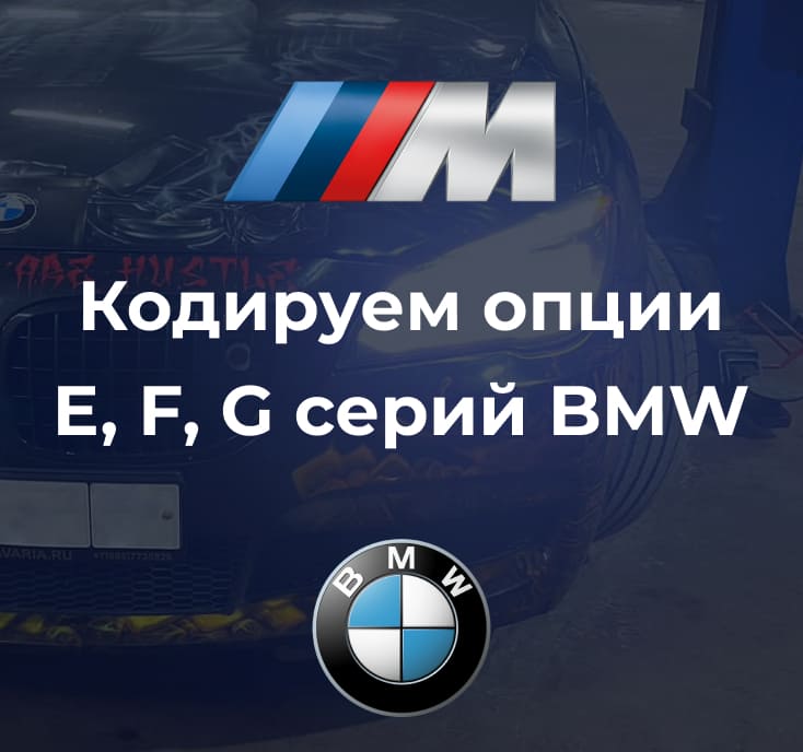 Опции бмв. Языковые опции BMW.